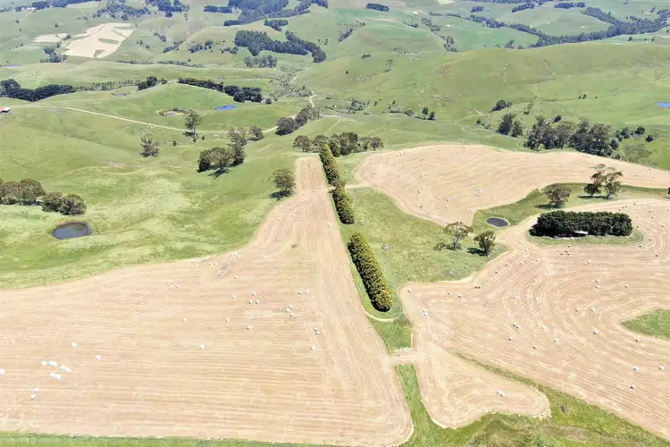 Fifth view of Homely rural property listing, 790 Bena-Kongwak Road, Bena VIC 3946