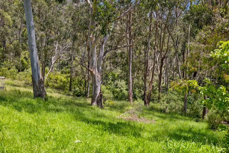 Fifth view of Homely land listing, 19 McRae Road, Wye River VIC 3234