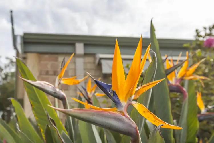 Third view of Homely house listing, 26A Edgecumbe Street, Como WA 6152