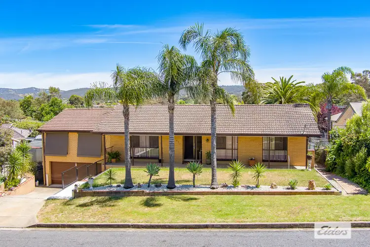 Main view of Homely house listing, 437 Rose Street, Lavington NSW 2641