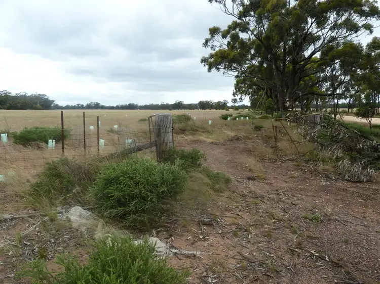 Fourth view of Homely rural property listing, Lot 11b Kurting-Powlett Road, Kurting VIC 3517