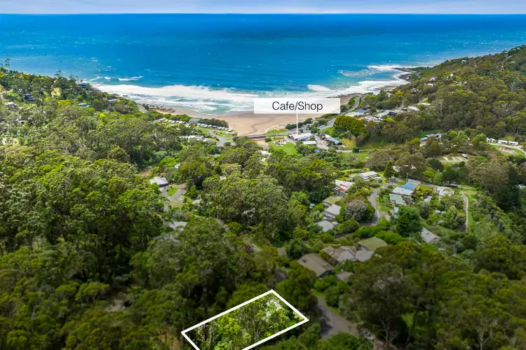 Fifth view of Homely house listing, 24 The Boulevarde, Wye River VIC 3234