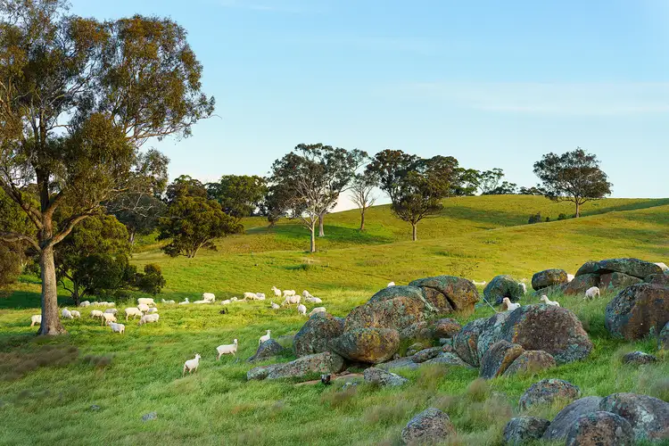 Second view of Homely rural property listing, 2/223 Nuggetty Road, Maldon VIC 3463