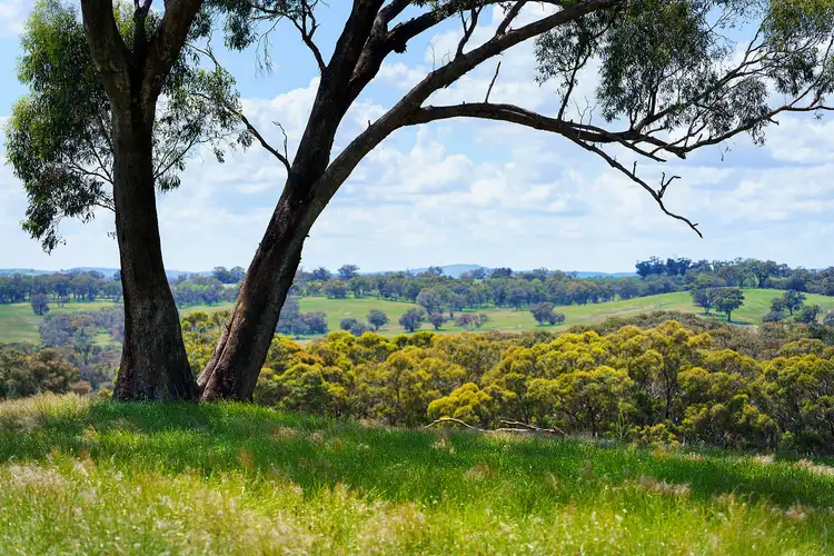 Fifth view of Homely rural property listing, 2/223 Nuggetty Road, Maldon VIC 3463