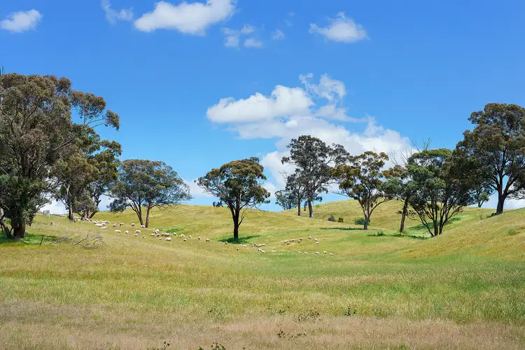 Sixth view of Homely rural property listing, 2/223 Nuggetty Road, Maldon VIC 3463