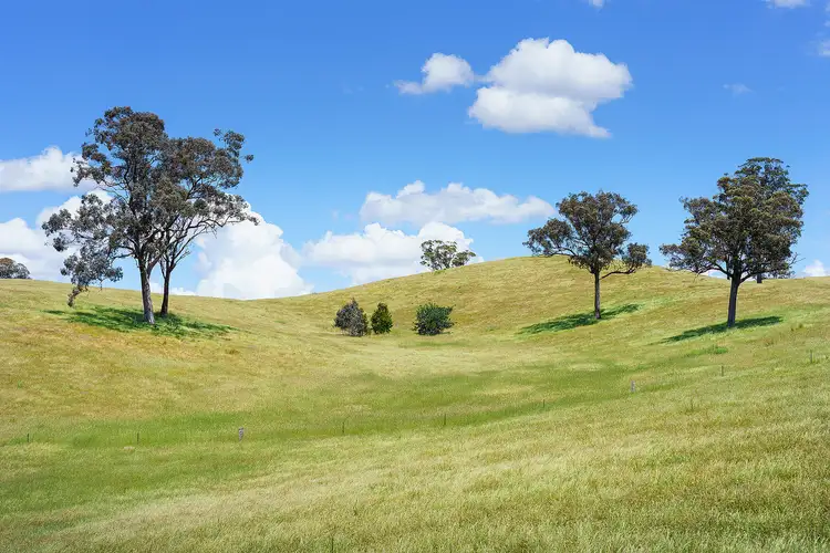 Seventh view of Homely rural property listing, 2/223 Nuggetty Road, Maldon VIC 3463