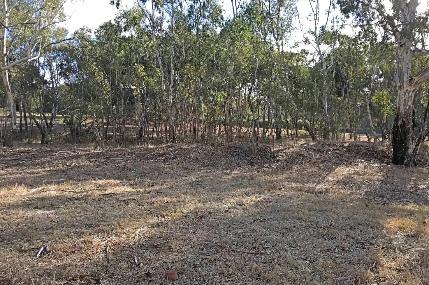 Main view of Homely land listing, 101 & Othe Blyth Road, Armagh SA 5453