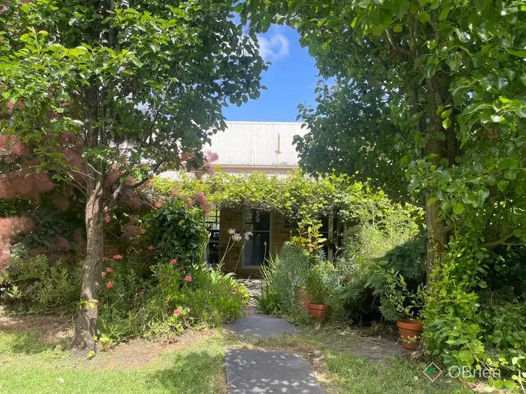 Fourth view of Homely house listing, 141 Old Orbost Road, Swan Reach VIC 3903