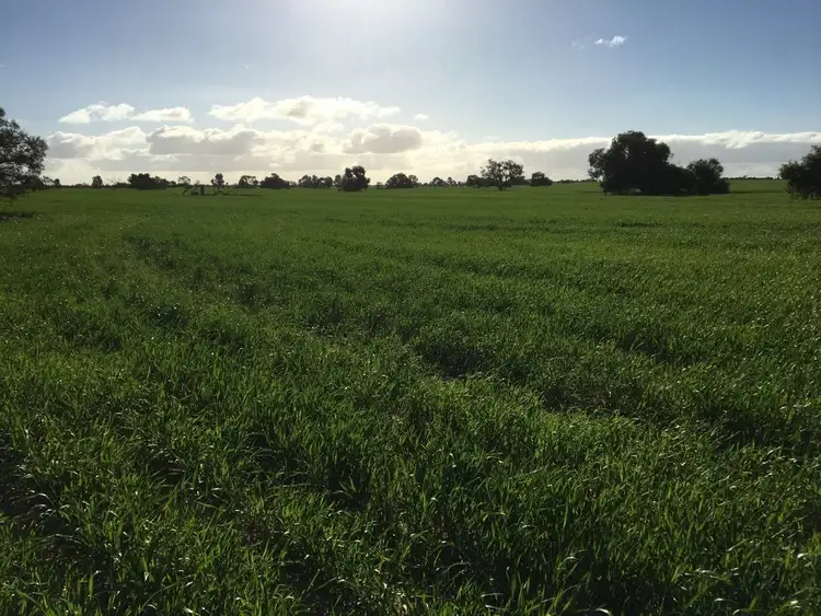 Sixth view of Homely rural property listing, Lot 10055 Dawson -Touche Road, Carnamah WA 6517