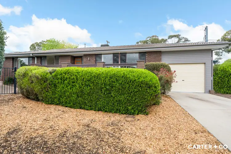 Main view of Homely house listing, 10 Trickett Street, Holt ACT 2615