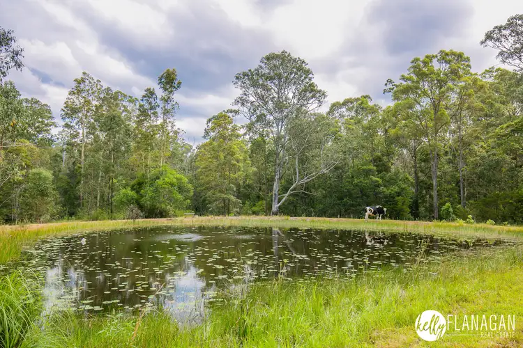Sixth view of Homely rural property listing, 450 Jacks Crossing, Skillion Flat NSW 2440