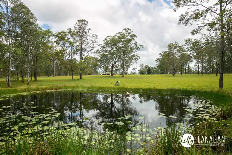 Seventh view of Homely rural property listing, 450 Jacks Crossing, Skillion Flat NSW 2440