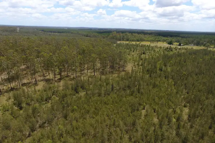 Fourth view of Homely rural property listing, 2/919 Clearfield Road, Myrtle Creek NSW 2469