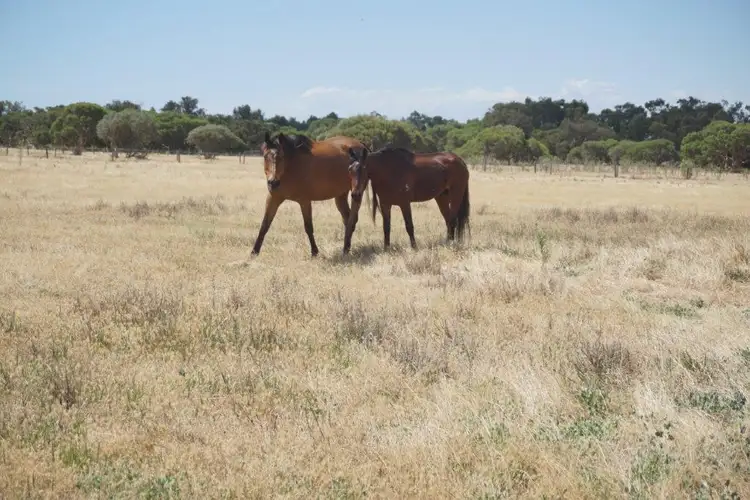 Fifth view of Homely land listing, 154 River Road, Hopeland WA 6125