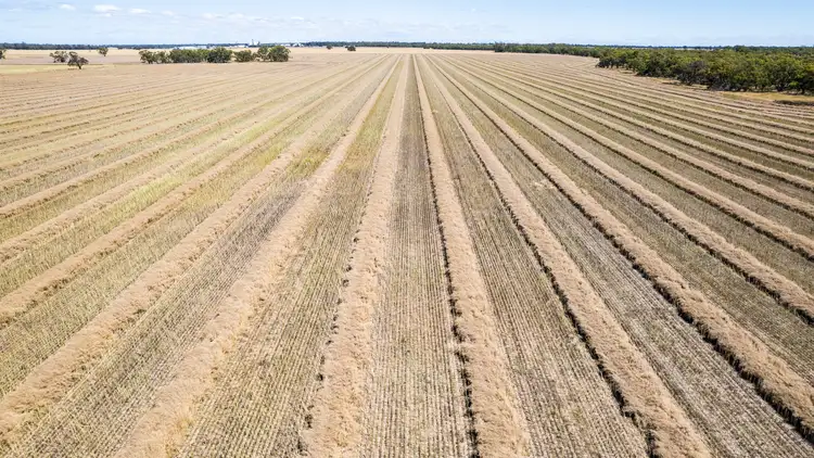 Second view of Homely rural property listing, Tarrant Road, Warracknabeal VIC 3393