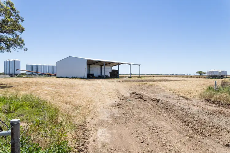 Fifth view of Homely rural property listing, Tarrant Road, Warracknabeal VIC 3393