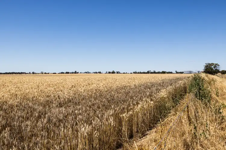 Sixth view of Homely rural property listing, Tarrant Road, Warracknabeal VIC 3393