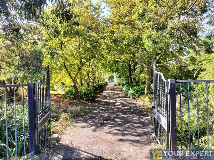 Third view of Homely rural property listing, 1265 North Road, Devon Meadows VIC 3977