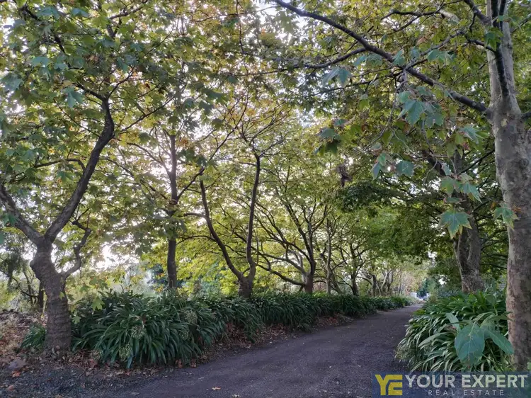Fourth view of Homely rural property listing, 1265 North Road, Devon Meadows VIC 3977