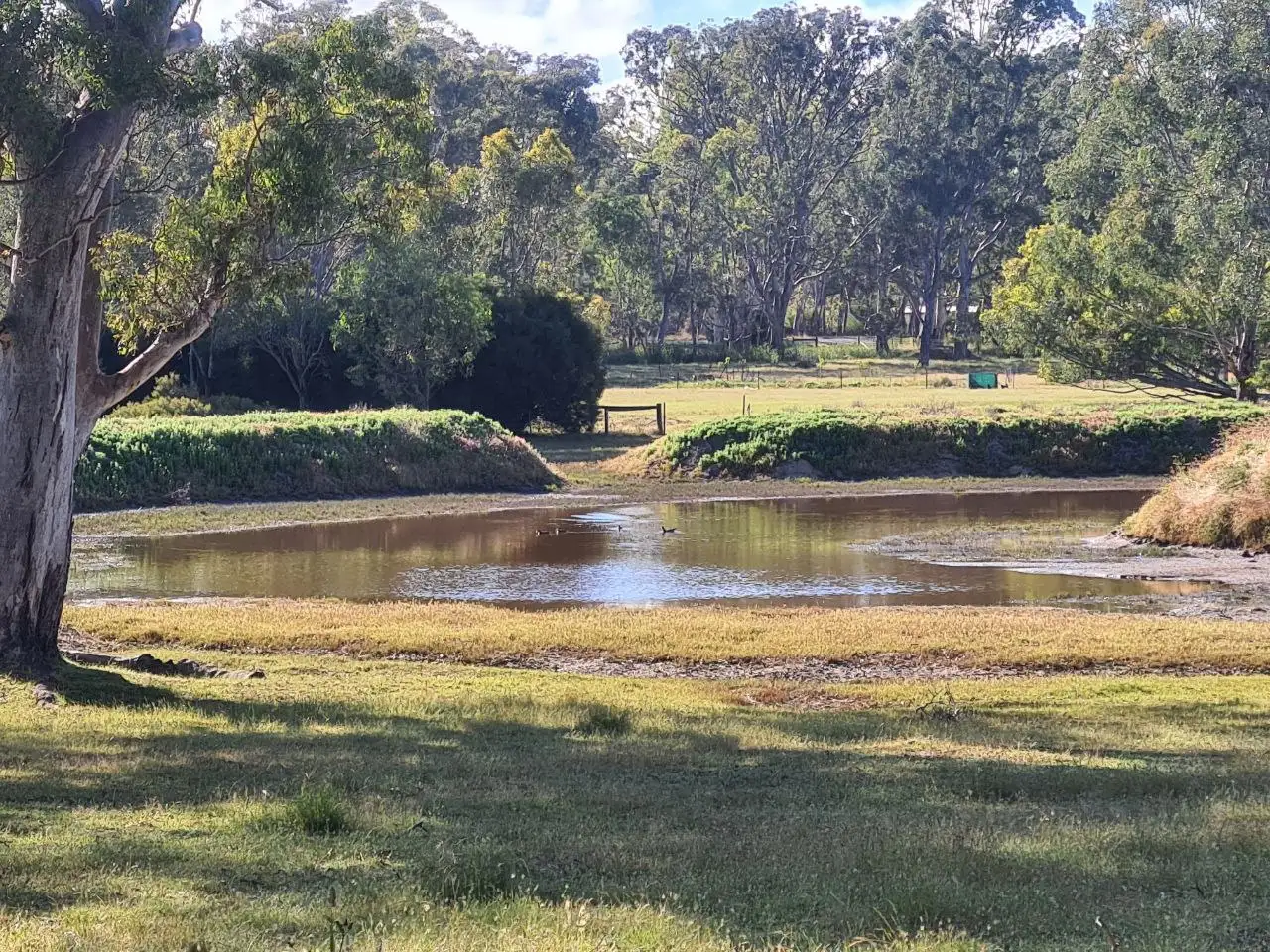 Main view of Homely rural property listing, 36 Coleraine Road, Balmoral VIC 3407