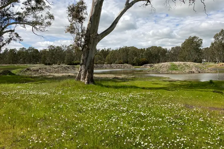 Fifth view of Homely rural property listing, 36 Coleraine Road, Balmoral VIC 3407