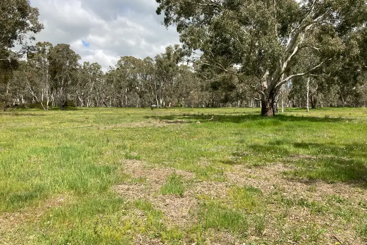 Seventh view of Homely rural property listing, 36 Coleraine Road, Balmoral VIC 3407