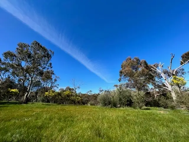 16 Craig Hill Road, Stanley Flat SA 5453