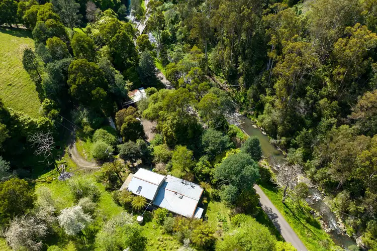 Second view of Homely rural property listing, 1592 Tarra Valley Road, Tarra Valley VIC 3971