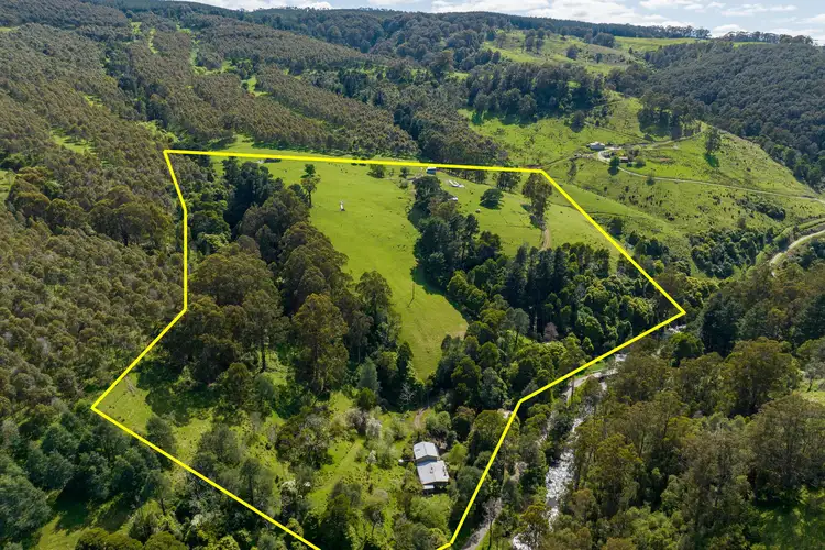 Sixth view of Homely rural property listing, 1592 Tarra Valley Road, Tarra Valley VIC 3971