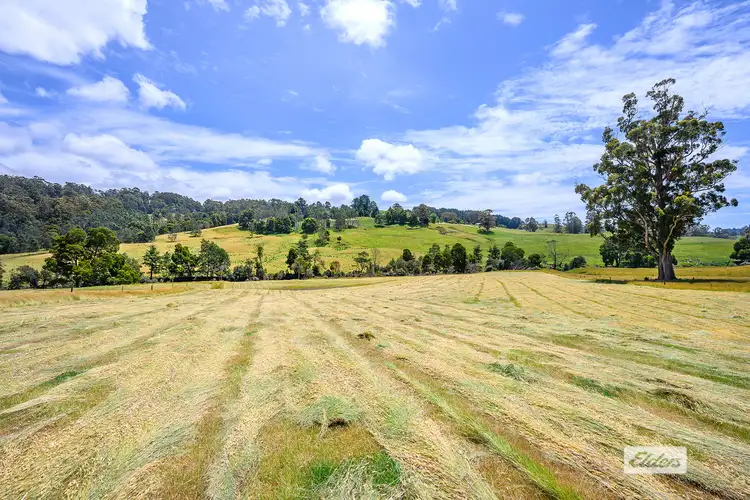 Fourth view of Homely rural property listing, 90 Bennetts Road, Camena TAS 7316