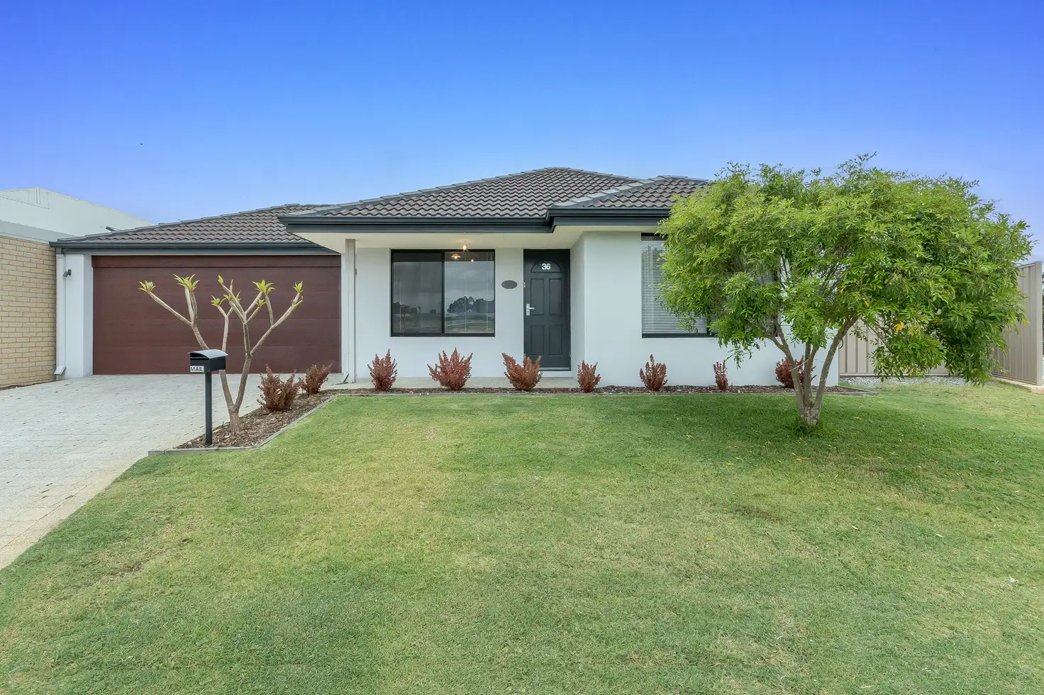 Main view of Homely house listing, 36 Minnie Grove, Hilbert WA 6112