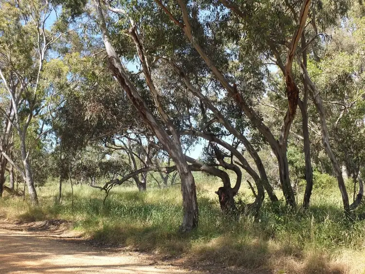 Third view of Homely rural property listing, Lot 2, 325 Avoca-Homebush Road, Homebush VIC 3465