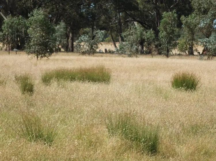 Main view of Homely rural property listing, Lot 3, 325 Avoca-Homebush Road, Homebush VIC 3465