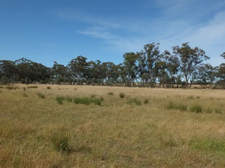Sixth view of Homely rural property listing, Lot 3, 325 Avoca-Homebush Road, Homebush VIC 3465