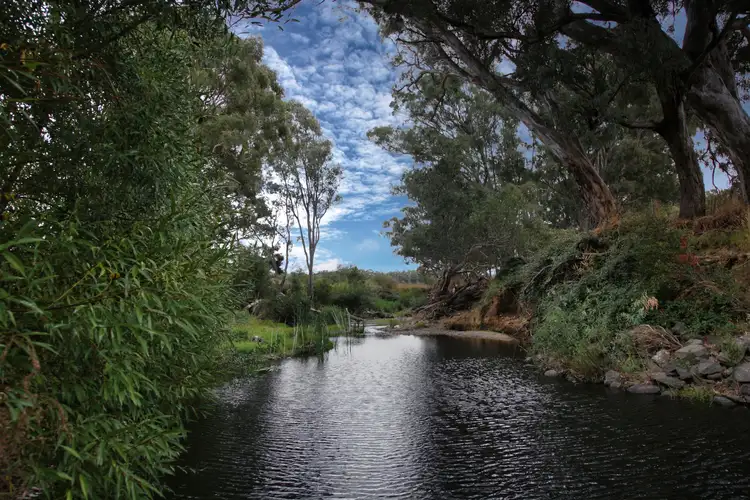 Second view of Homely house listing, 78 Birkins Road, Strangways VIC 3461