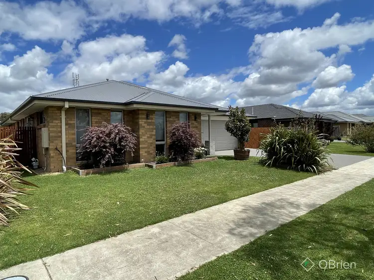 Main view of Homely house listing, 11 Brolga Street, Bairnsdale VIC 3875