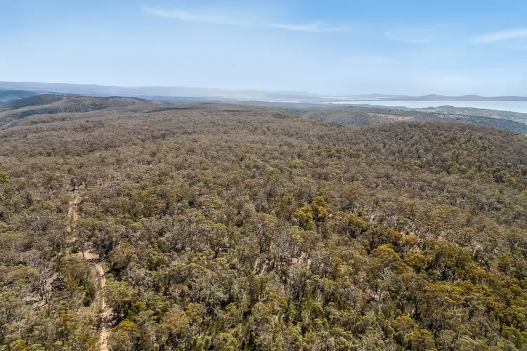 Second view of Homely rural property listing, 11901A Tasman Highway, Rocky Hills TAS 7190