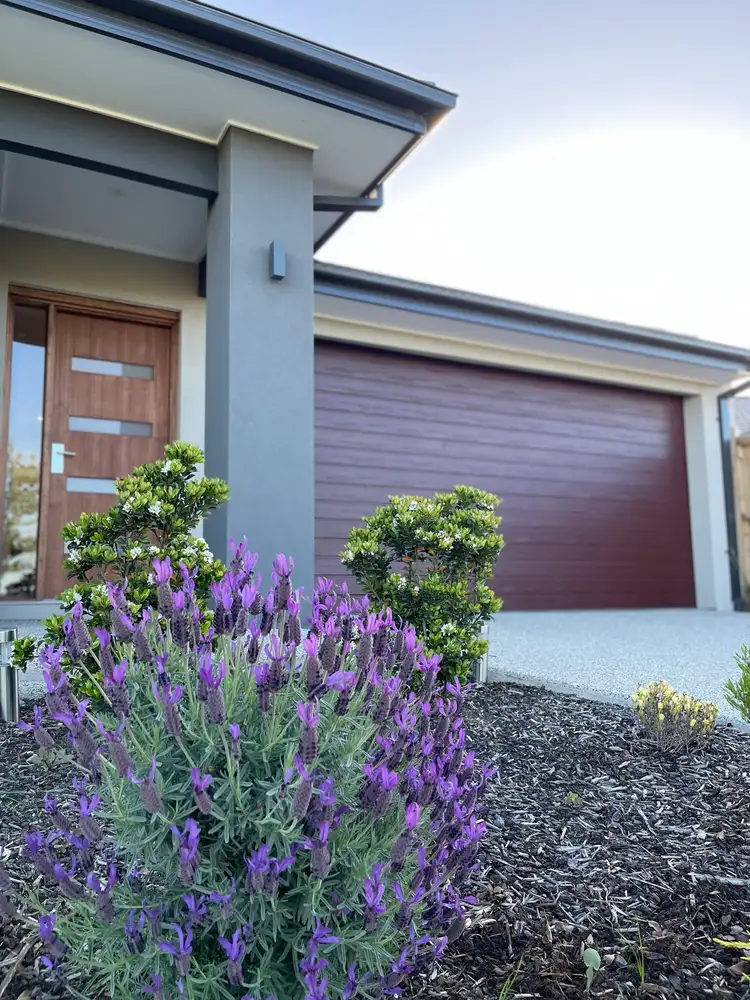 Third view of Homely house listing, 29 Persian Crescent, Tarneit VIC 3029