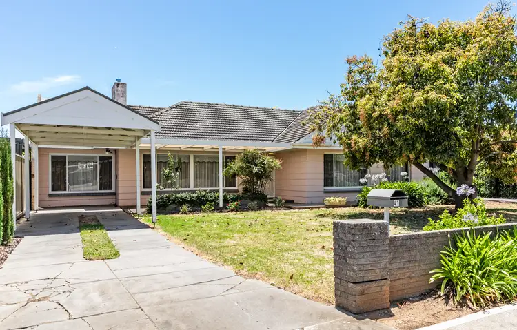 41 Barker Avenue, South Plympton SA 5038