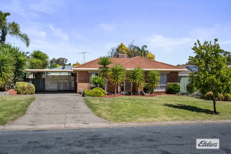 19 Berberick Court, Thurgoona NSW 2640