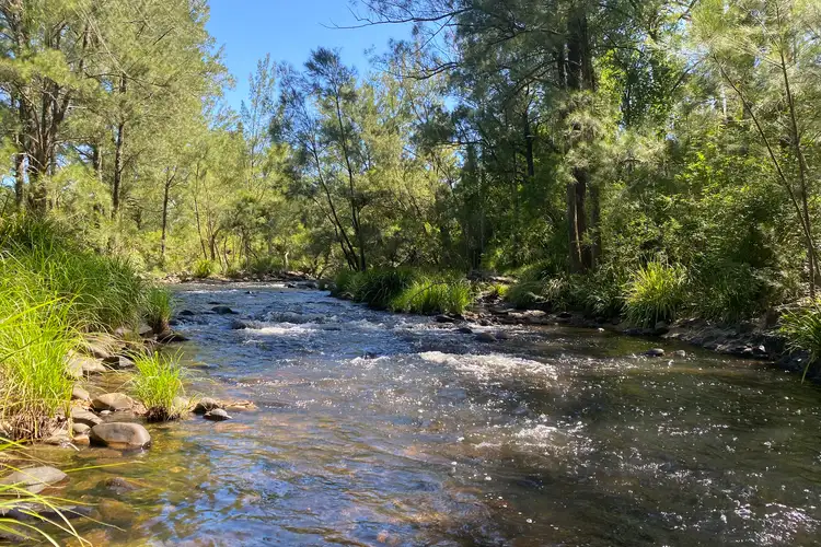 Fourth view of Homely rural property listing, 873 Upper Monkerai Road, Dungog NSW 2420