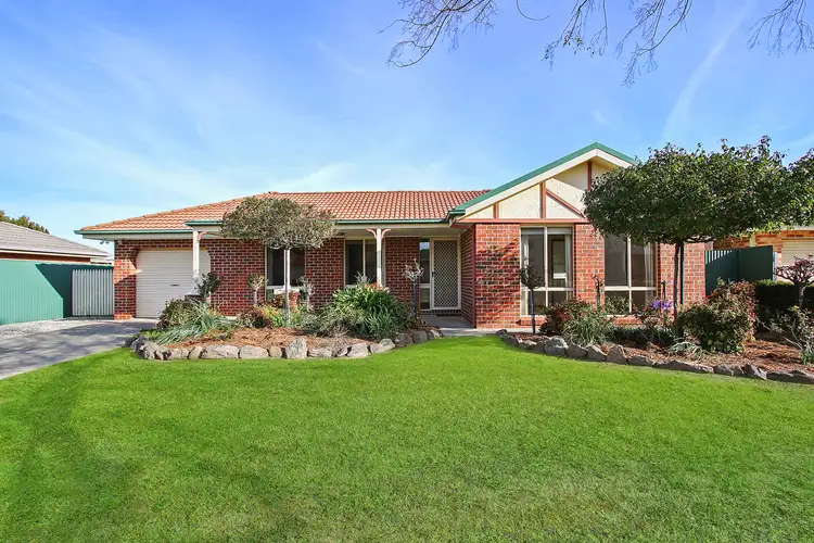48 Saville Avenue, Lavington NSW 2641