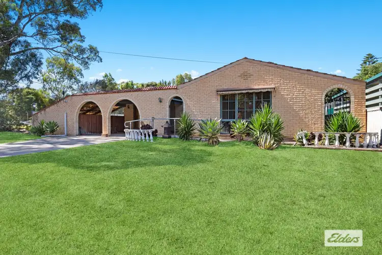 Main view of Homely house listing, 19 Sunningdale Avenue, Novar Gardens SA 5040