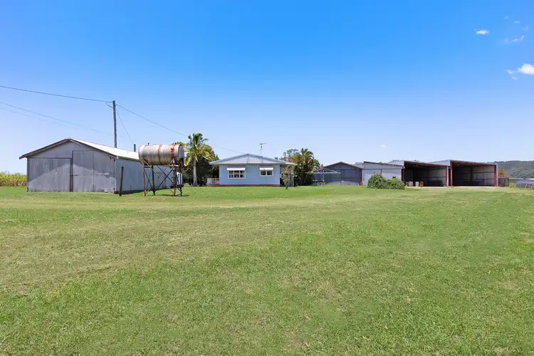 Main view of Homely house listing, 384 Pimlico Road, Pimlico NSW 2478
