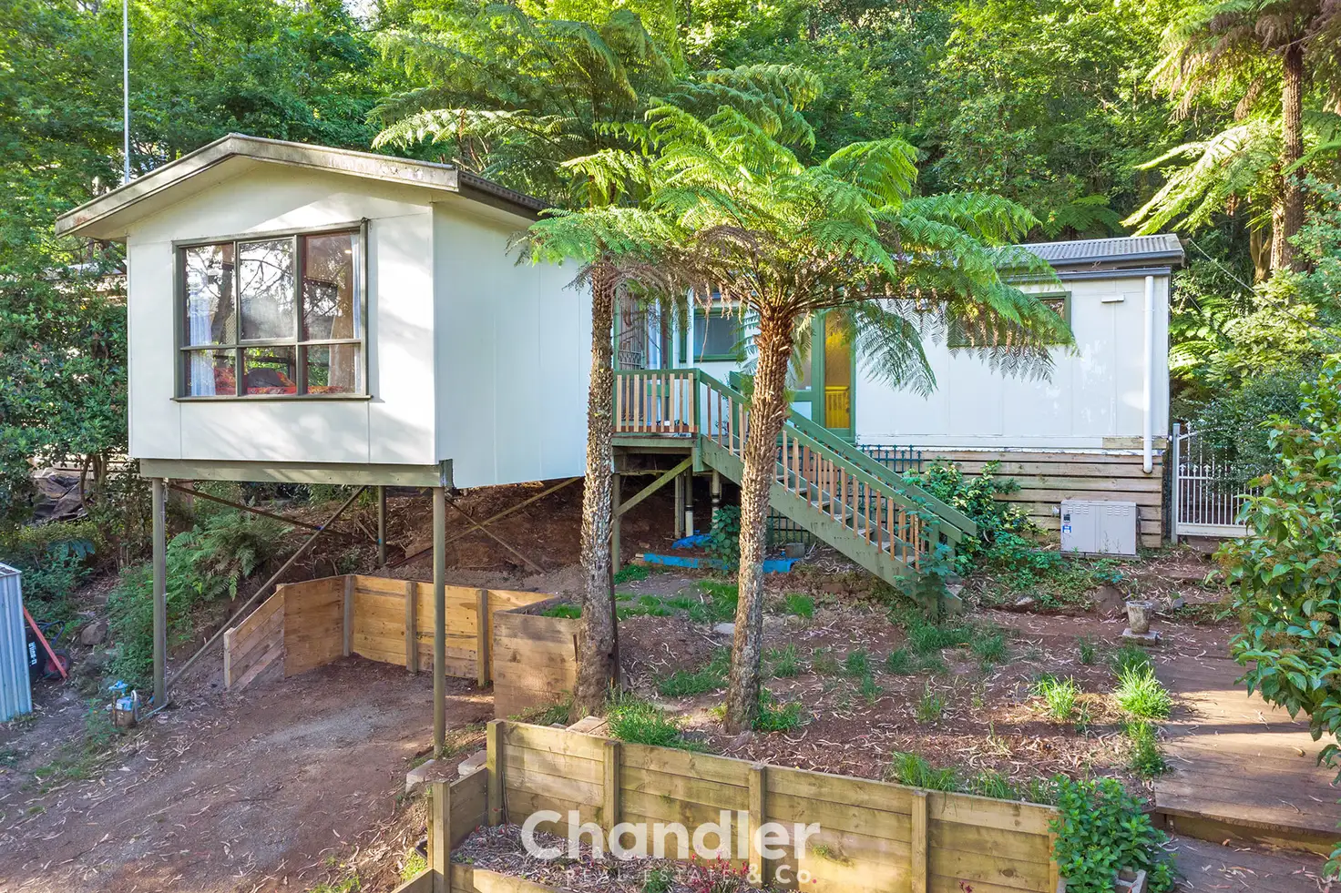 Main view of Homely house listing, 31 Jeeves Avenue, Kalorama VIC 3766