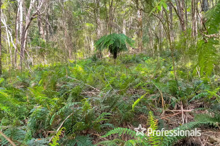 41 Hillcrest Road, Don Valley VIC 3139