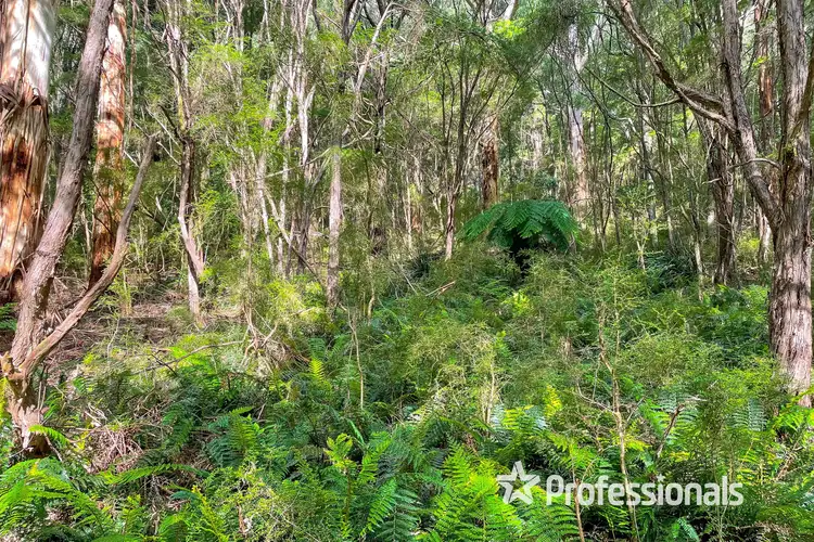 Second view of Homely land listing, 41 Hillcrest Road, Don Valley VIC 3139