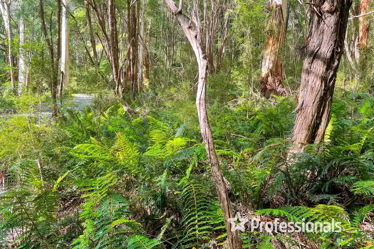 Third view of Homely land listing, 41 Hillcrest Road, Don Valley VIC 3139