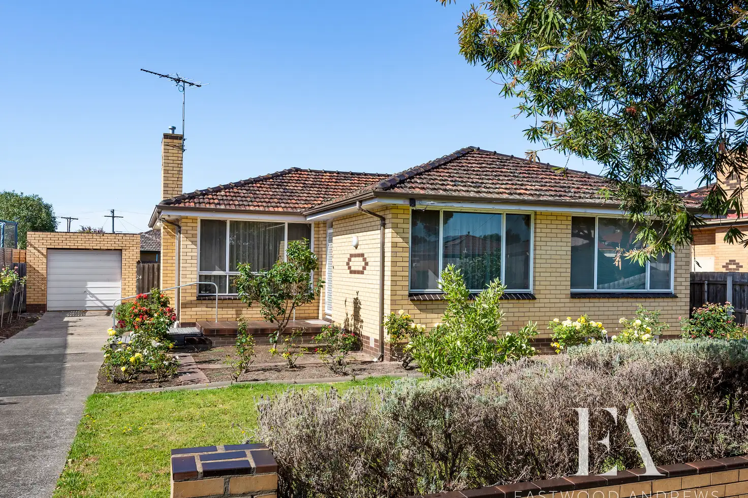 Main view of Homely house listing, 24 Charlotte Avenue, Newcomb VIC 3219