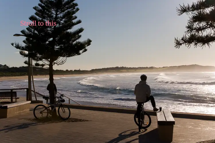Third view of Homely apartment listing, 1/14 Pacific Parade, Dee Why NSW 2099
